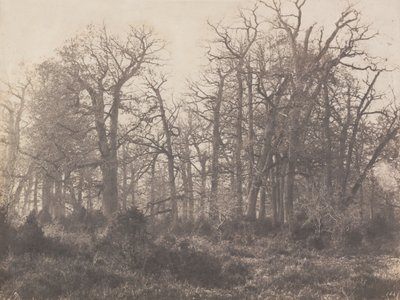 とげの交差点 作： Eugène Cuvelier