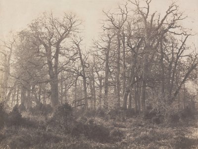 1860年代初期、エピヌのカルフール（写真） 作： ウジェーヌ・キュヴェリエ