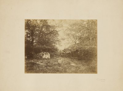 [景観調査］ 作： Eugène Cuvelier