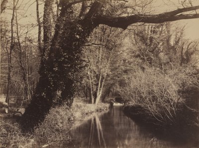クーランス パーク 作： Eugène Cuvelier