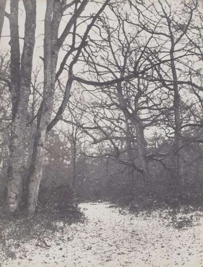 森の道 作： Eugène Cuvelier