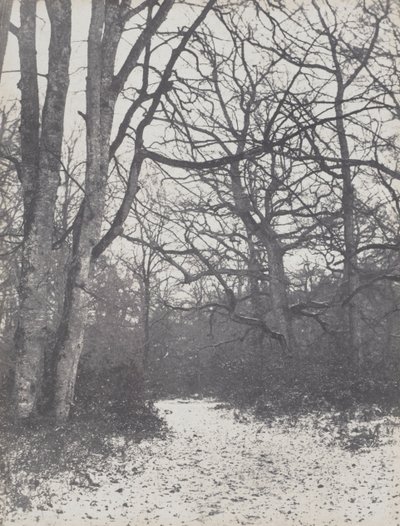 森の道、1860-1863。 作： Eugène Cuvelier