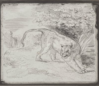 閉じ込められたトラ 作： Eugène Delacroix