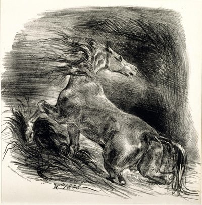 野生の馬 作： Ferdinand Victor Eugene Delacroix