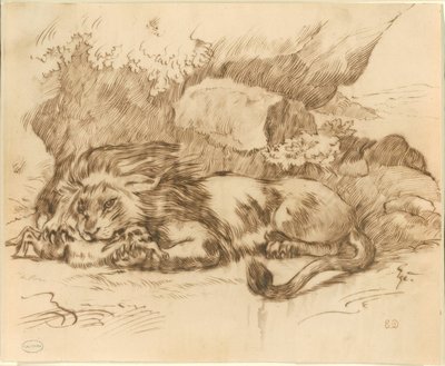 ウサギをむさぼり食うライオン 作： Eugène Delacroix