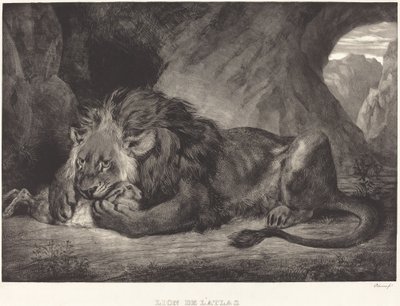 アトラス山脈のライオン Lion de l