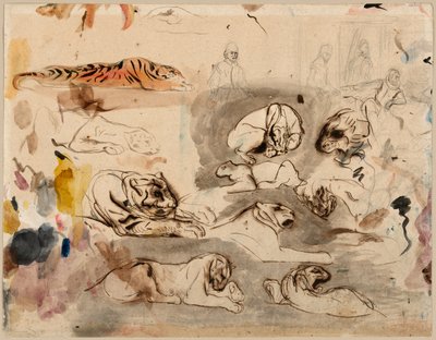 16世紀の衣装を着たトラと男性のスケッチ 作： Eugène Delacroix