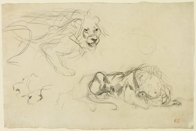 ライオンズ研究 作： Eugène Delacroix