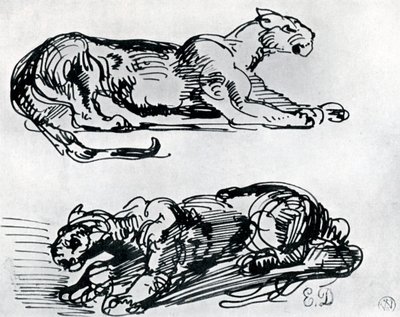 パンサーの研究、1913 作： Ferdinand Victor Eugene Delacroix