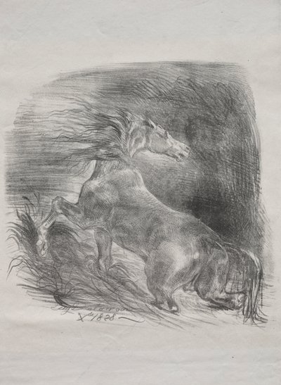 野生の馬、または水を離れるおびえた馬 作： Eugène Delacroix