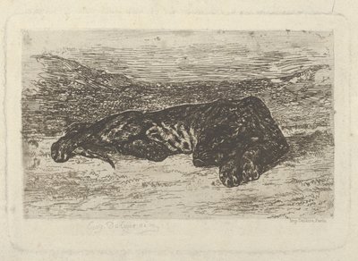砂漠に横たわる虎、1846 ., 1846 . 作： Eugène Delacroix
