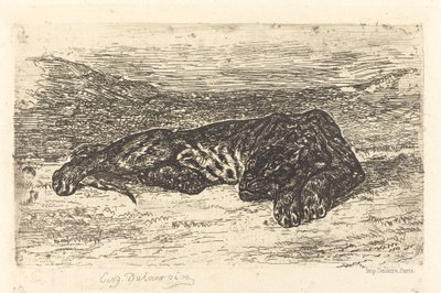 砂漠で眠るトラ 作： Eugène Delacroix