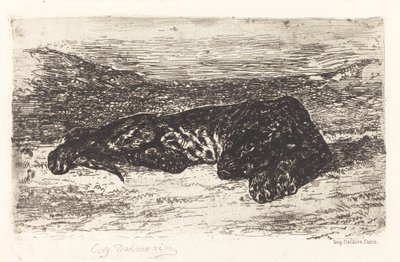 砂漠で眠る虎、c。 1830年。 作： Eugène Delacroix