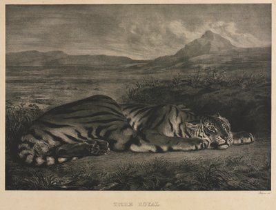 ロイヤルタイガー 作： Eugène Delacroix