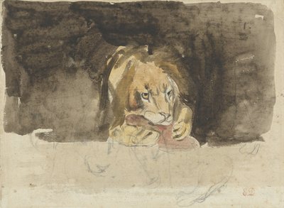 正面から見た肉食ライオンが暗い背景に際立っている 作： Eugène Delacroix
