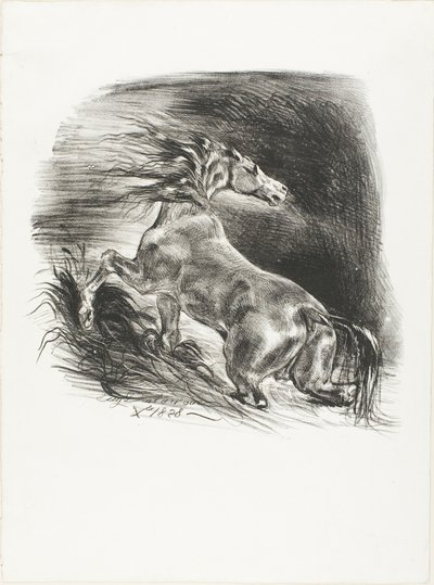 野生の馬、または水を離れるおびえた馬 作： Eugène Delacroix