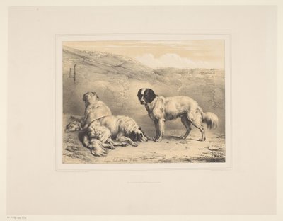 3匹の犬 いろいろな動物（シリーズタイトル） Etudes d