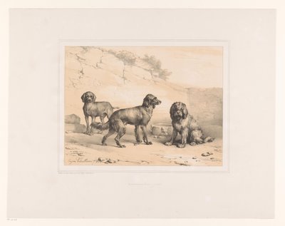 3匹の犬 いろいろな動物（シリーズタイトル） Etudes d