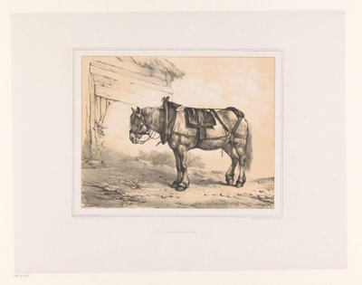 鞍とホルター付きの馬 いろいろな動物（シリーズタイトル） Etudes d