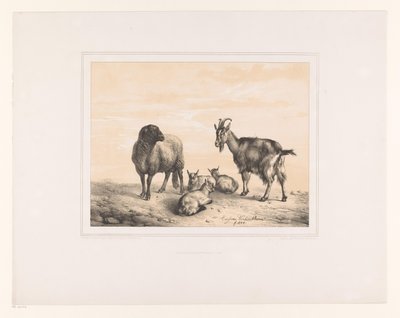 羊、ヤギ、3 頭の子ヤギ いろいろな動物（シリーズタイトル） Etudes d