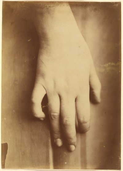 手の研究 作： European 19th Century