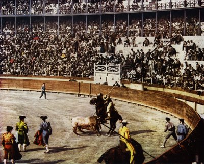 スペインの闘牛の様子（写真 作： European Photographer