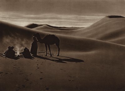 砂漠の夕べ（モノクロ写真） 作： European Photographer