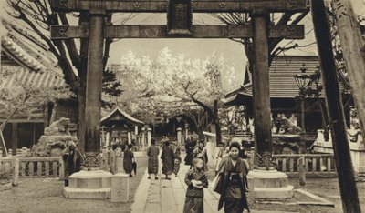 日本、東京の街並み、桜の時期（モノクロ写真 作： European Photographer