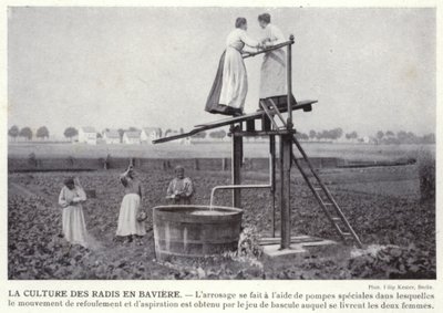 バイエルンでのラディッシュ栽培（白黒写真 作： European Photographer