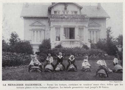 La Menagerie Hagenbeck（モノクロ写真 作： European Photographer