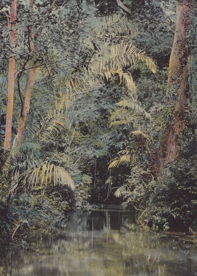 ラリビエールIVI 作： European Photographer