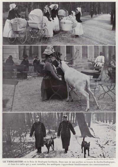ル・ティアガルテン（モノクロ写真 作： European Photographer