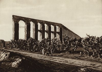 チュニスのバルド近郊にあるローマ時代の水道橋（モノクロ写真 作： European Photographer