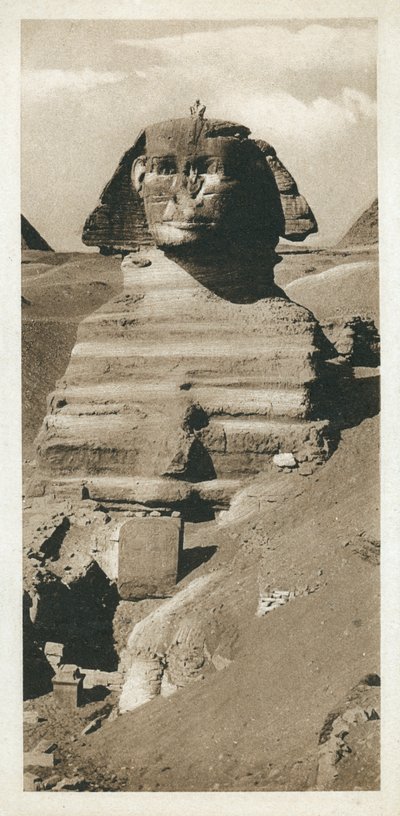 エジプト・ギザ台地の大スフィンクス（モノクロ写真 作： European Photographer