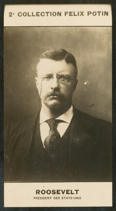セオドア・ルーズベルト（米国大統領 作： European Photographer