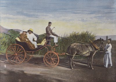 入植者の車 作： European Photographer