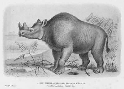 絶滅した新種の四足動物Brontops Robustus(リトグラフ) 作： European School