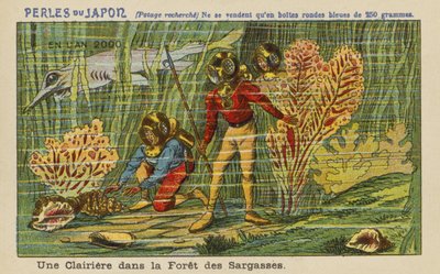 2000年のサルガッソの森の開拓地 作： European School