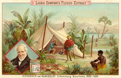 アレクサンダーフォンフンボルトの南アメリカ遠征、1800年-1804年 作： European School