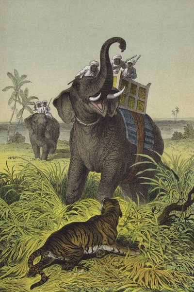 インドの動物と植物（カラーリトグラフ） 作： European School