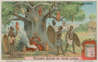 バオバブの木はアフリカの部族によってフェチでぶら下がっています 作： European School