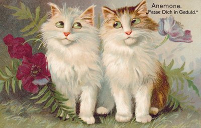 猫のポストカード（カラーリトグラフ） 作： ヨーロピアンスクール