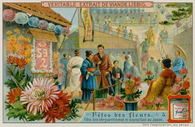 日本の菊祭り 作： European School