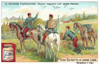 フランス陸軍の伝書鳩（クロモリハト 作： European School