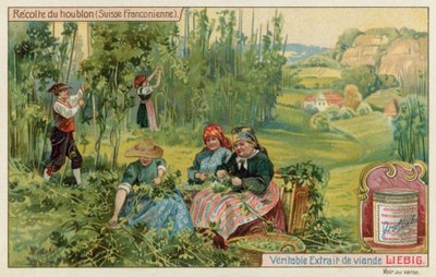 フランスのスイスでのホップの収穫 作： European School