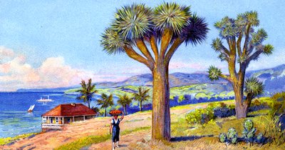 カリフォルニア州ジョシュア・ツリー 作： European School