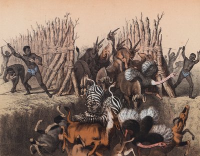 動物を穴に追い込むカフィール人（カラーリトグラフ） 作： European School