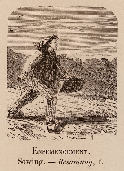 実例となる語彙: 播種; 播種; Besamung (彫刻) 作： European School
