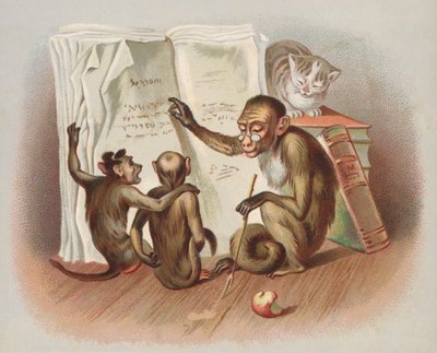 猿の教え（クロモリト 作： European School