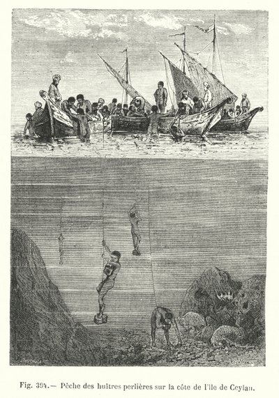セイロン島の海岸での真珠貝漁（彫刻作品 作： European School